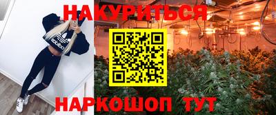 прущие грибы Будённовск