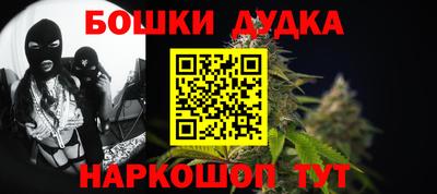 прущие грибы Будённовск