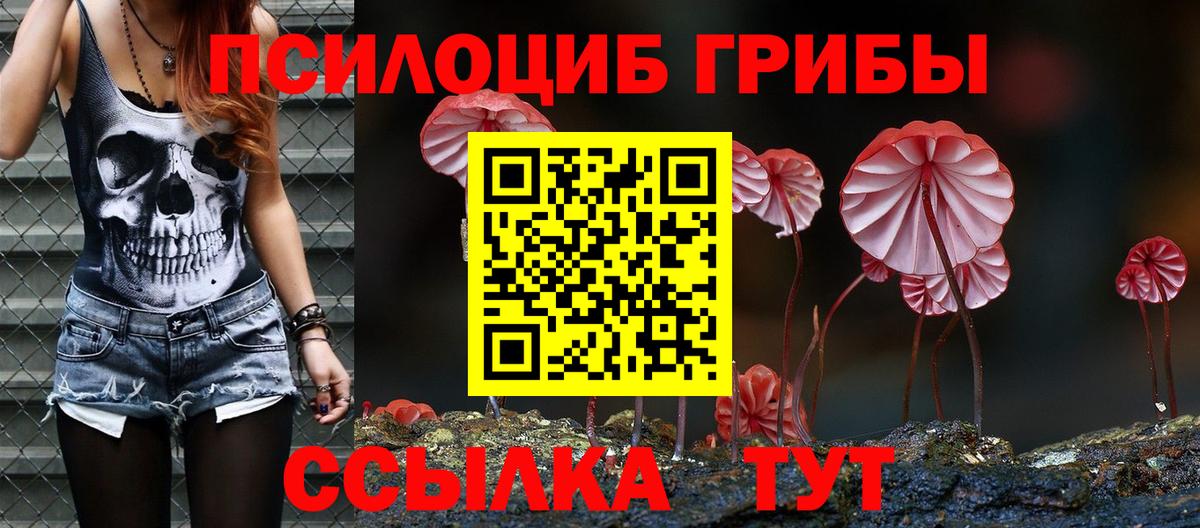 Псилоцибиновые грибы прущие грибы Усть-Джегута