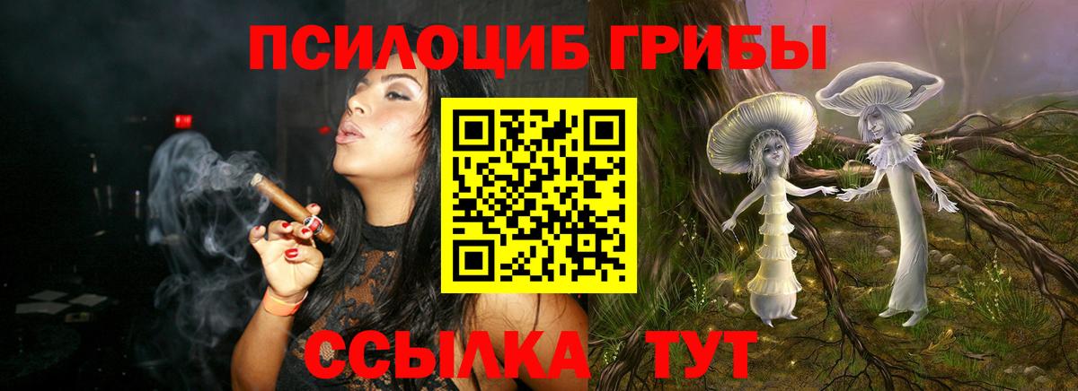 Усть-Джегута  Псилоцибиновые грибы мухоморы  Вход с VPN 