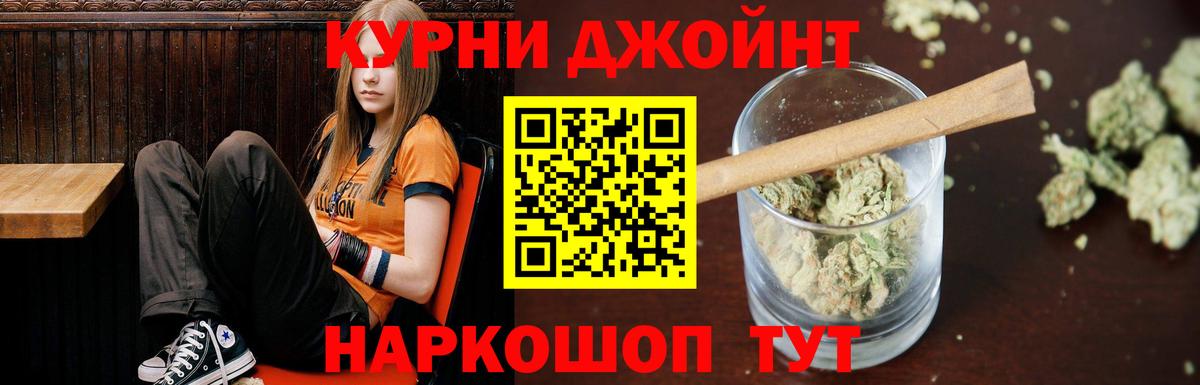 Бошки марихуана планчик  Конопля планчик  Усть-Джегута  Вход с VPN  Каннабис сатива 